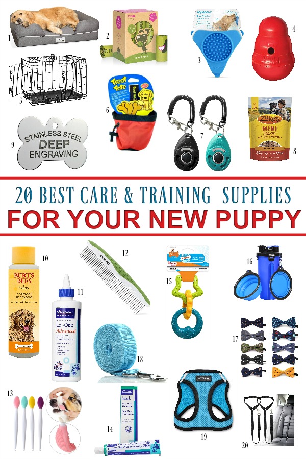Lots of care and training is involved to keep your new puppy safe and help him learn acceptable behavior. This checklist of essential and useful products will help your pet adjust to his new family.