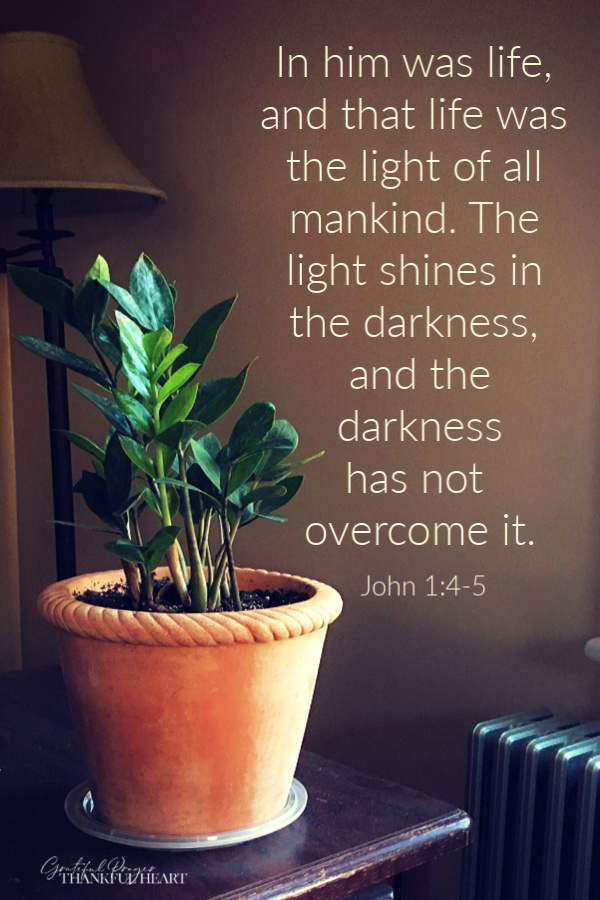 Growth in the new year - In him was life, and that life was the light of all mankind. The light shines in the darkness, and the darkness has not overcome it. John 1:4-5 