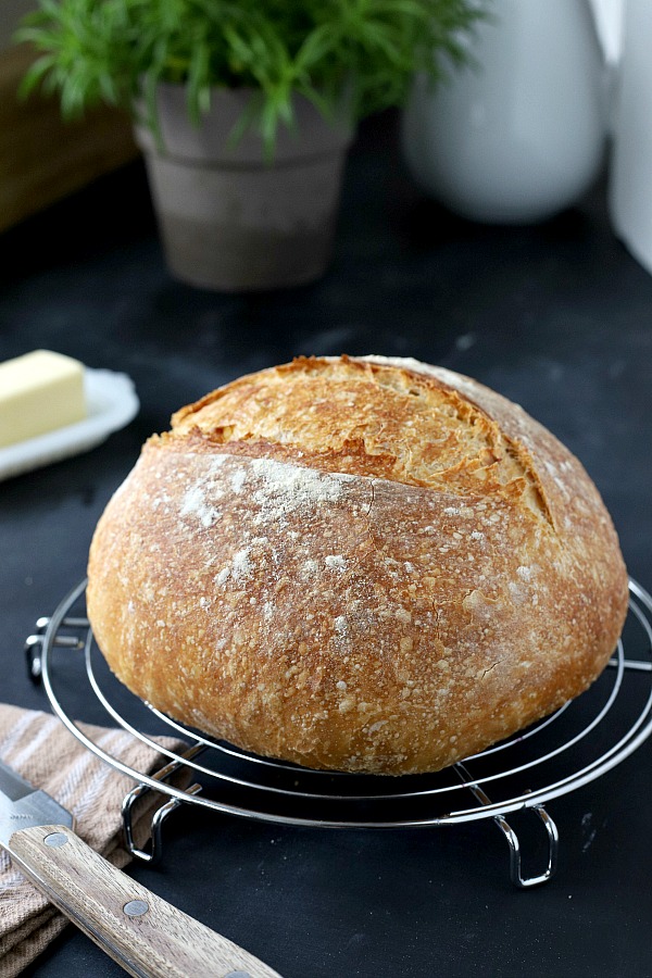 Homemade rustic bread with a crusty exterior and deliciously chewy center with easy almost no-knead recipe from Cooks Illustrated.