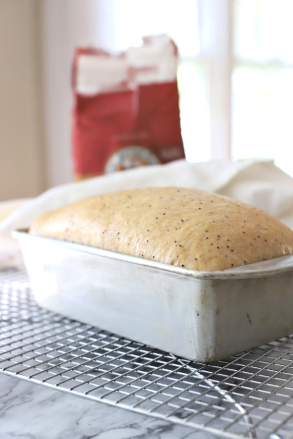 Bread dough second rise