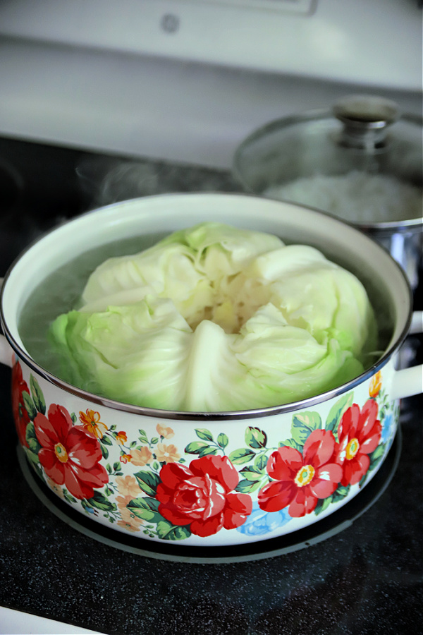 Blanching cabbage head in boiling water
