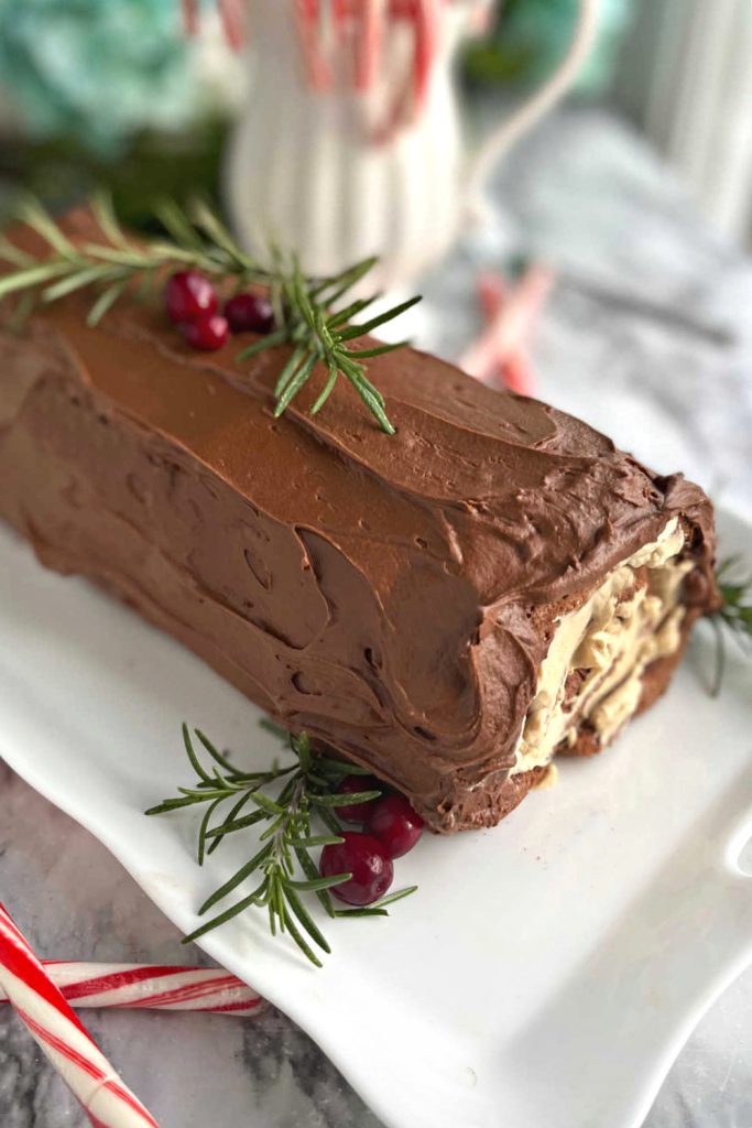 Chocolate frosted Christmas holiday mocha yule log cake.