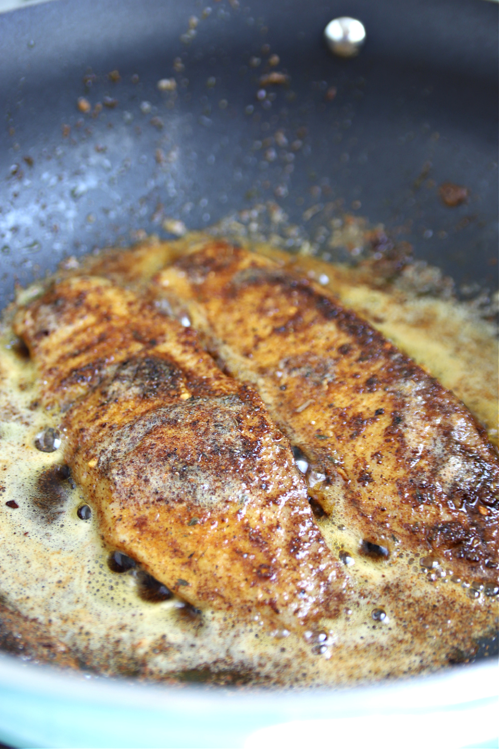 Iron skillet cooking herb and spice rub blackened tilapia.
