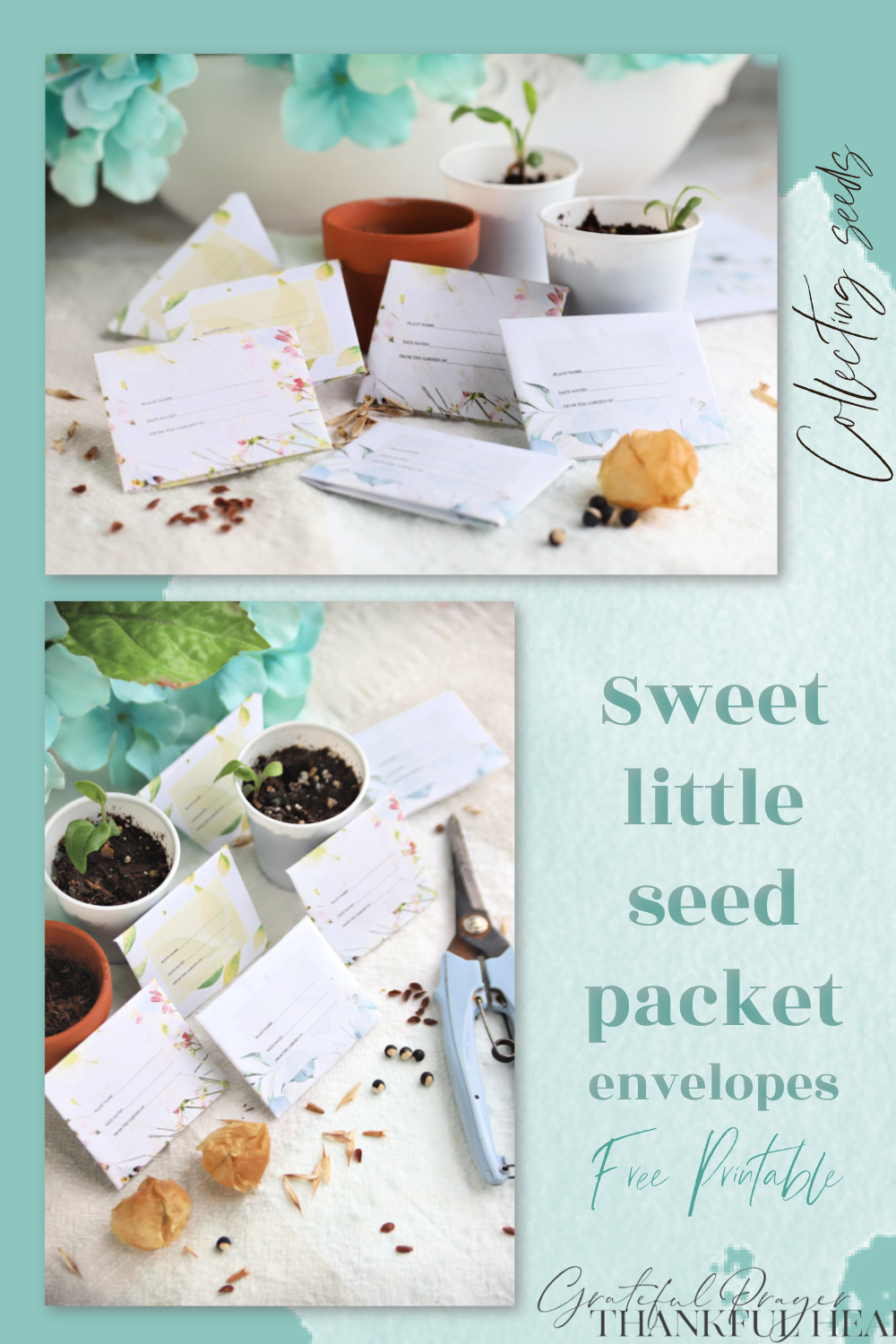 Free printable for gardeners. Pretty little seed packet envelopes for collecting flower, vegetable and herb seeds from you garden plants. 
